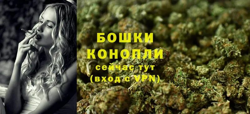 Бошки Шишки SATIVA & INDICA  Полярные Зори 